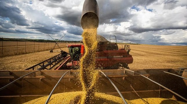 pib-da-agropecuaria-cresce-2-no-trimestre-e-soma-7-do-pib
