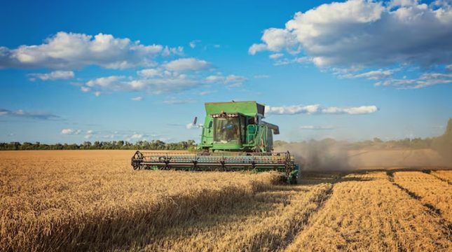 pib-do-brasil-cresce-23-em-2025-diz-ibge