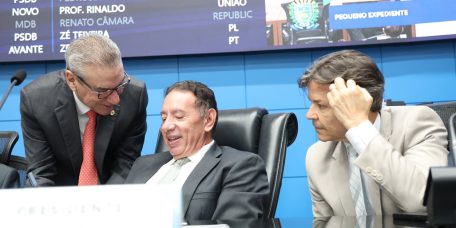 pl-alems-institui-politica-estadual-equoterapia