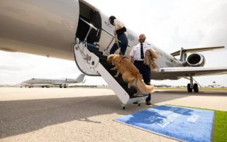 por-dentro-da-companhia-aerea-que-leva-pets-na-pimeira-classe