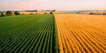 potencial-do-agro-brasileiro-no-acordo-mercosul-ue
