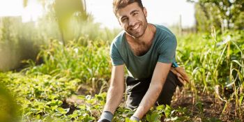 preco-da-soja-sobe-no-brasil-com-produtores-retraidos