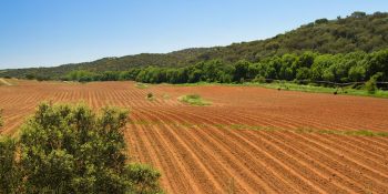 preco-das-terras-rurais-varia-de-r-50-mil-a-r-250-mil-por-hectare