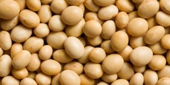 preco-soja-voltou-subir