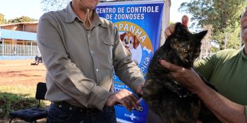 prefeitura-mantem-vacinacao-antirrabica-em-bairros-de-dourados