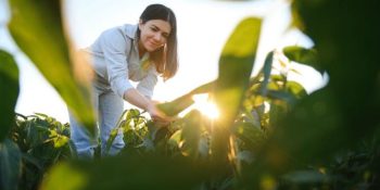 presenca-feminina-avanca-agronegocio-ms