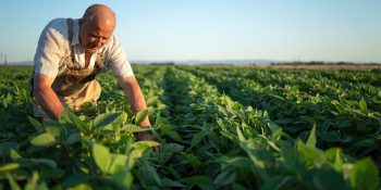 prodes-trava-financiamentos-para-agricultura-familiar