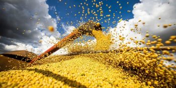 producao-de-graos-deve-atingir-recorde-historico-no-brasil