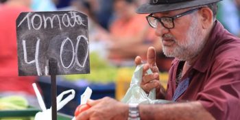 producao-de-tomate-bate-recorde-mas-clima-desafia-producao