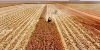 producao-soja-ms-pode-bater-recorde-2026