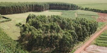 produtores-rurais-devem-realizar-cadastro-ms-agrodata