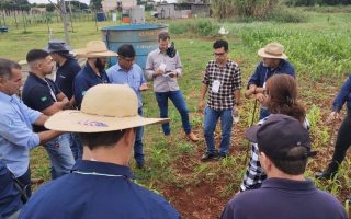programa-ms-irriga-impulsiona-uso-sustentavel-da-agua-no-campo
