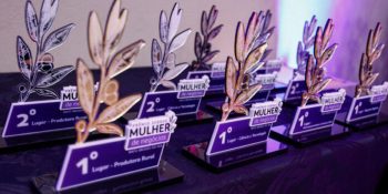 sebrae-ms-inscricoes-para-o-mulher-de-negocios-segue-ate-junho