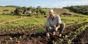 senado-aprova-regras-para-regularizacao-de-propriedades-rurais
