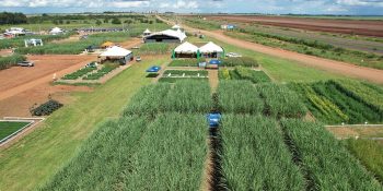 senar-ms-leva-inovacao-no-campo-a-tecnofam-em-dourados
