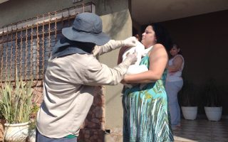 sesau-leva-vacinacao-antirrabica-bairros-campo-grande