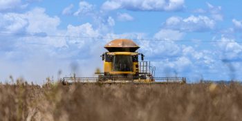 soja-dourados-superou-desempenho-anos-anteriores