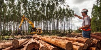 suzano-abre-inscricoes-processos-seletivos-ms