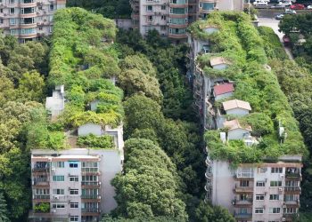 telhados-verdes-ajudam-a-economizar-energia