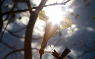temperatura-ms-deve-subir-tarde
