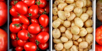 tomate-e-batata-a-conexao-inesperada-que-a-ciencia-revela