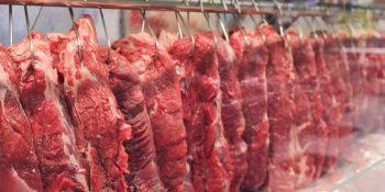 uniao-europeia-debate-uso-de-antibioticos-na-producao-de-carnes