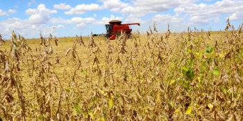 valor-da-producao-agropecuaria-atingiu-r-14-trilhao-em-agosto